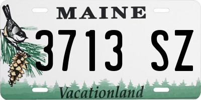 ME license plate 3713SZ