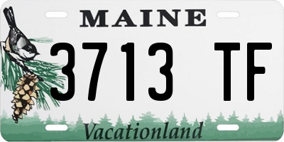 ME license plate 3713TF