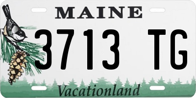 ME license plate 3713TG