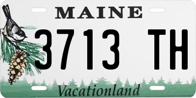 ME license plate 3713TH