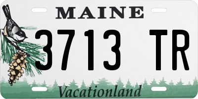 ME license plate 3713TR