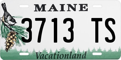 ME license plate 3713TS