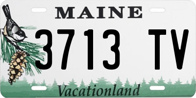 ME license plate 3713TV