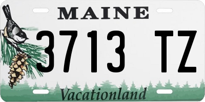ME license plate 3713TZ