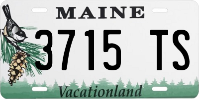 ME license plate 3715TS