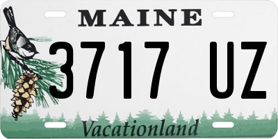 ME license plate 3717UZ