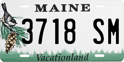 ME license plate 3718SM