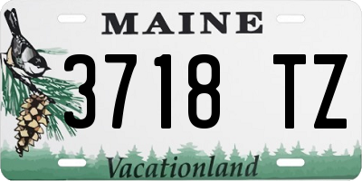 ME license plate 3718TZ