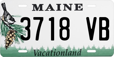 ME license plate 3718VB