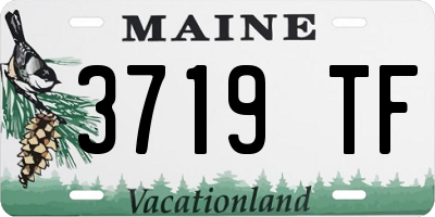 ME license plate 3719TF