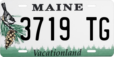 ME license plate 3719TG