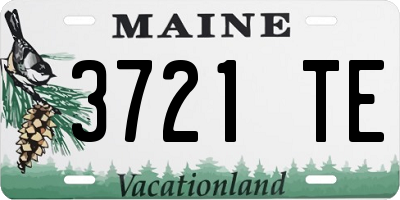 ME license plate 3721TE