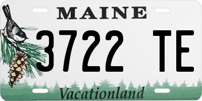 ME license plate 3722TE