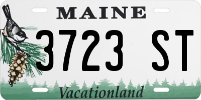 ME license plate 3723ST