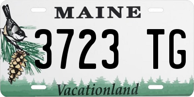 ME license plate 3723TG