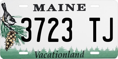 ME license plate 3723TJ