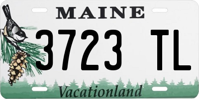 ME license plate 3723TL