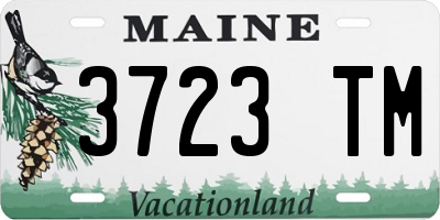 ME license plate 3723TM