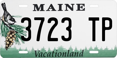 ME license plate 3723TP