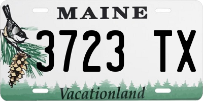 ME license plate 3723TX