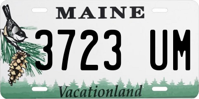 ME license plate 3723UM