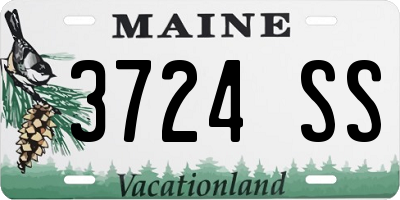 ME license plate 3724SS