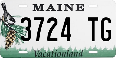 ME license plate 3724TG