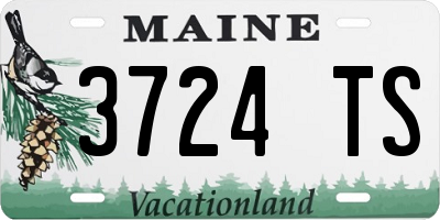 ME license plate 3724TS