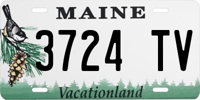 ME license plate 3724TV