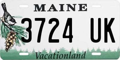 ME license plate 3724UK