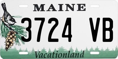 ME license plate 3724VB