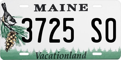 ME license plate 3725SO