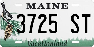 ME license plate 3725ST
