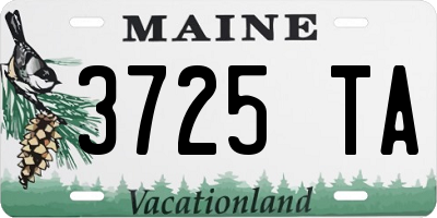ME license plate 3725TA