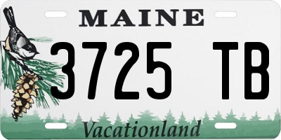 ME license plate 3725TB