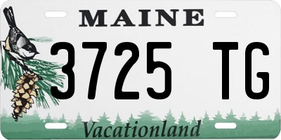 ME license plate 3725TG