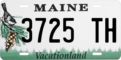 ME license plate 3725TH