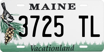 ME license plate 3725TL