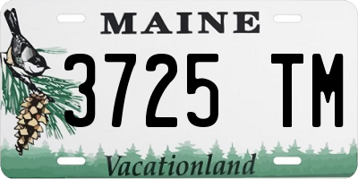 ME license plate 3725TM