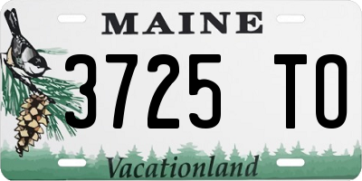 ME license plate 3725TO