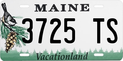 ME license plate 3725TS