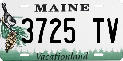 ME license plate 3725TV