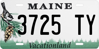 ME license plate 3725TY