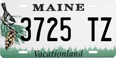 ME license plate 3725TZ