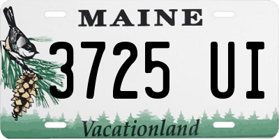 ME license plate 3725UI