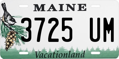 ME license plate 3725UM