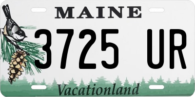 ME license plate 3725UR