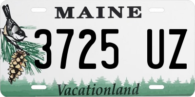 ME license plate 3725UZ