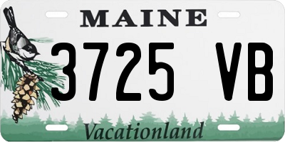 ME license plate 3725VB