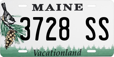 ME license plate 3728SS